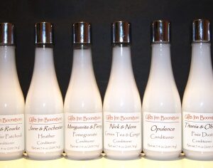 Inn BoonsBoro Conditioner