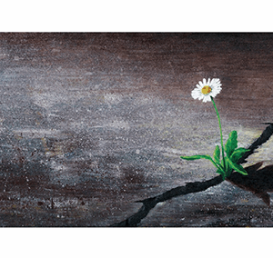 'A New Morning' Canvas Print  - Dan Murphy