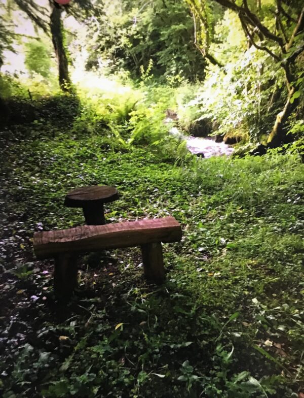 'Unseelie Court' Photo Print - Suz Thackston