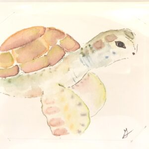 Sea Turtle Card - Gail Rudisill