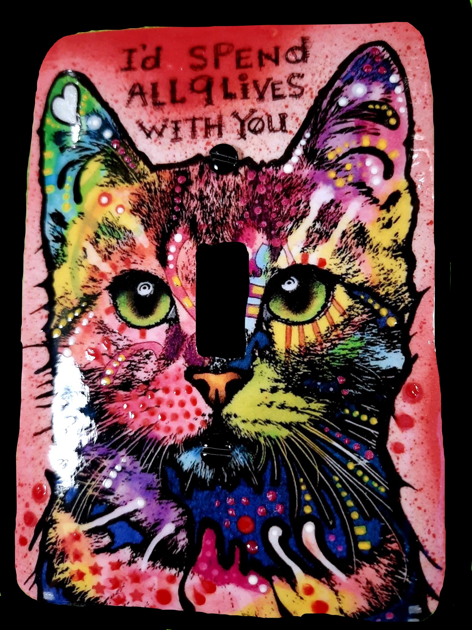 'Nine Lives' Switch Plate - Torne Jacobson
