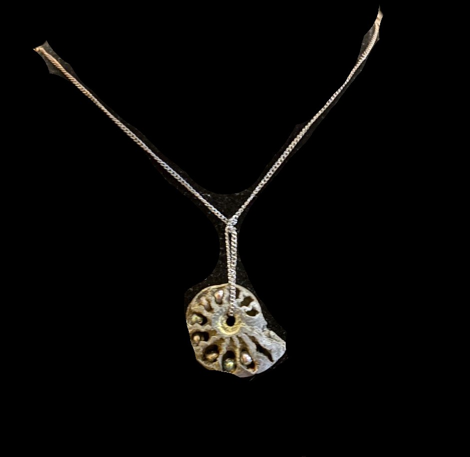 Fossil Ammonite Necklace - Noralie Katsu