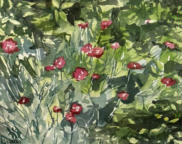 'Crown Pink' Original Watercolor - Tom Gately