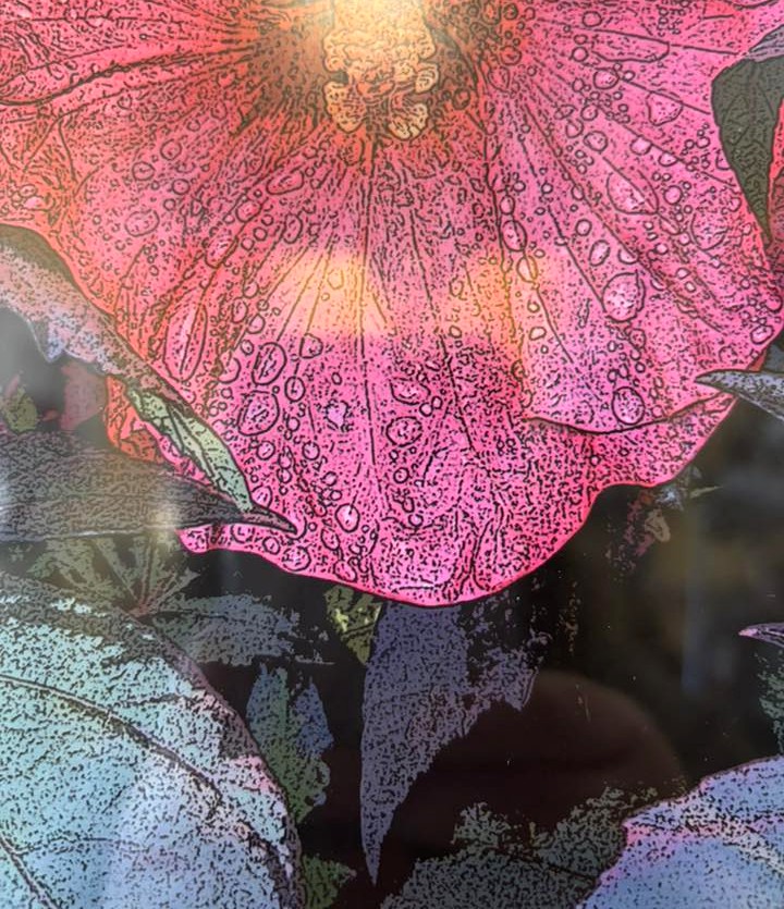 'Queen of the Garden' Framed Photo - Carolyn Seibert-Drager