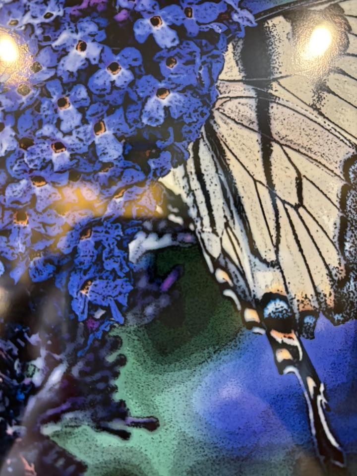 'Harmony' Framed Photo - Carolyn Seibert-Drager