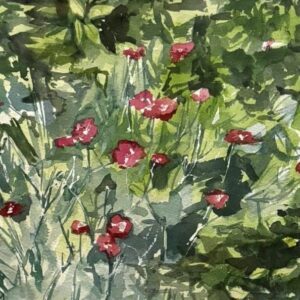 'Crown Pink' Card - Tom Gately