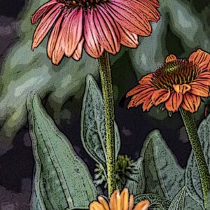'Garden Beauty' Photo on Canvas - Carolyn Seibert-Drager