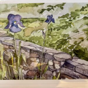 'Iris' Card - Tom Gately