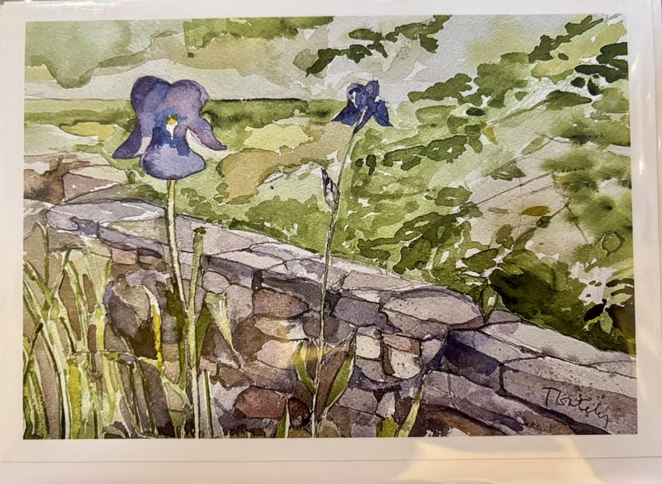 'Iris' Card - Tom Gately