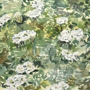 'Queen Anne's Lace' Card - Tom Gately