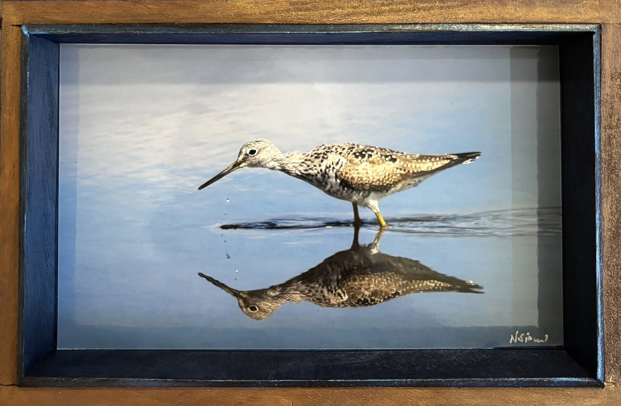 'Yellow Legs' Metal Photo - Nan Sincero